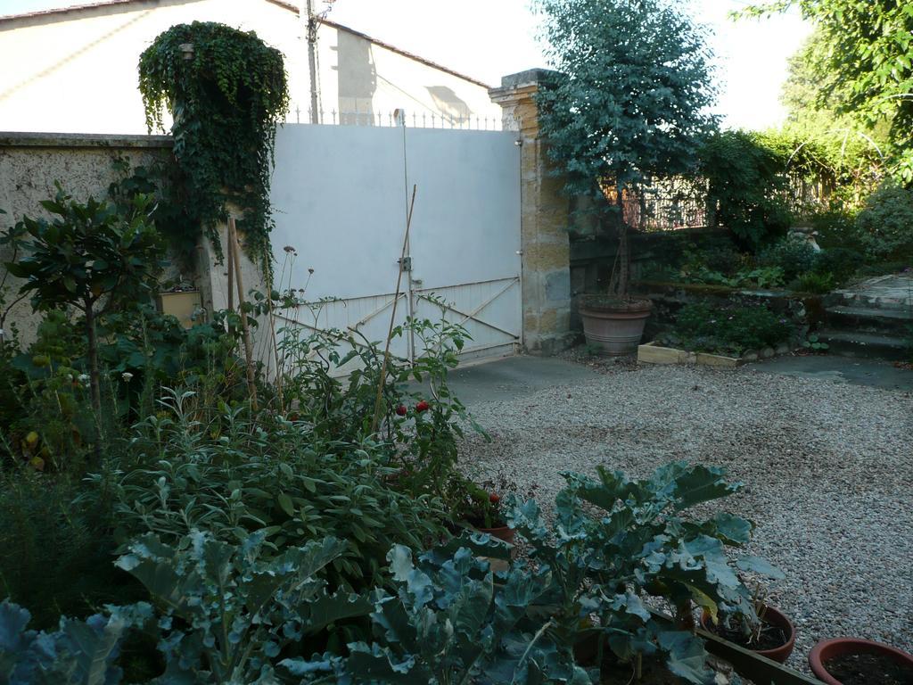 Maison De Vin Appartement Castillon-la-Bataille Buitenkant foto